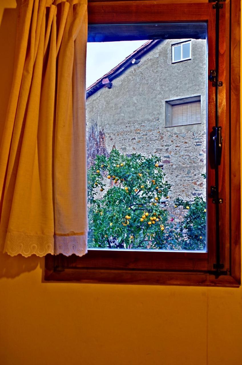 Los Balcones Del Rio ロブレディージョ・デ・ガタ エクステリア 写真